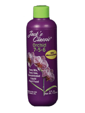 Orchid-Liquid-8oz