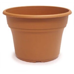 12.00 Panterra Pot