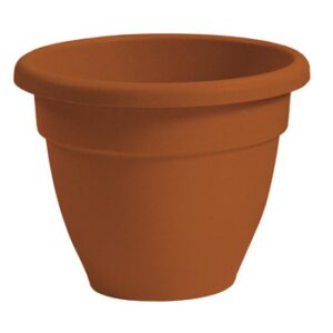 Caribbean Planter