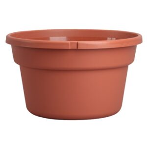 12" Color Saucerless Hanging Basket