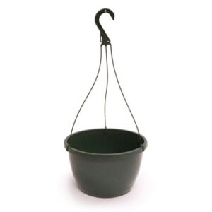 11" Traditional Saucerless Hanging Basket