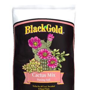 Blak Gold Cactus Mix