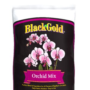 Black Gold Orchid Mix