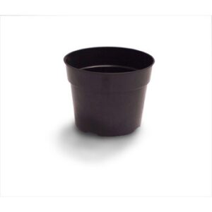 6" Azalea Regal Injection Molded Round Pot