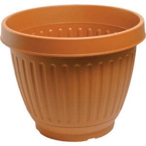 6.5" Centabella Planter