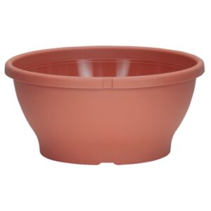 10" Color Bowl