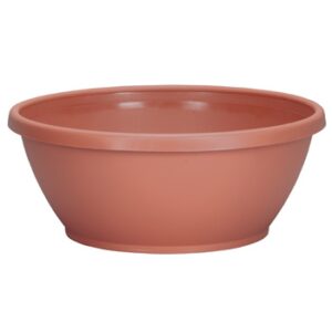 12" Color Bowl