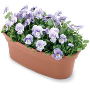 12" Color Oval Planter