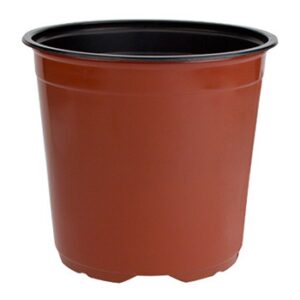 21 cm. Tall Euro Thermo Pot
