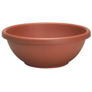 Garden Bowl Planter