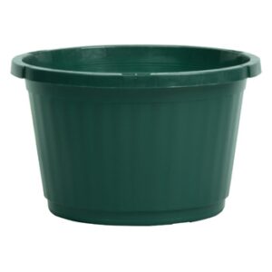 10" ESL 2 Hanging Basket