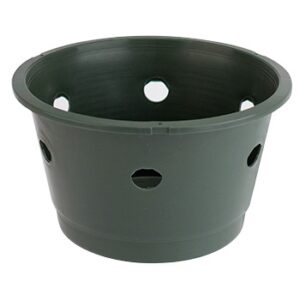 10" 6 Hole Plugpot Saucerless Hanging Basket