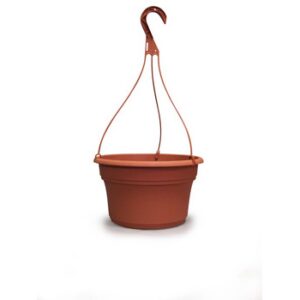 10" Panterra Hanging Basket