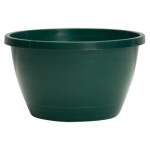 10" Traditional Saucerless Hanging Basket