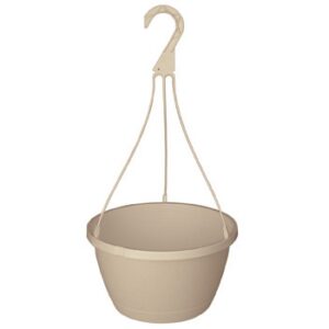 10" Traditional Saucerless Hanging Basket