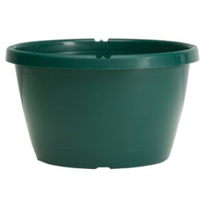 12" Traditional Saucerless Hanging Basket