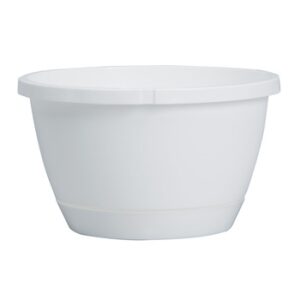 8" Traditional with Saucer Hanging Basket