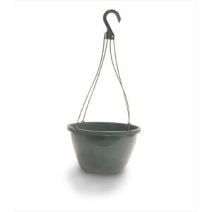 12" Traditional Saucerless Hanging Basket