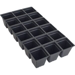 1801 Standard Perennial Sheet