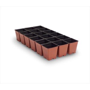 Kord 18 - Count Presto Pot 3.5" Square