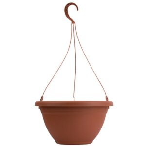 14" Mojave Hanging Basket