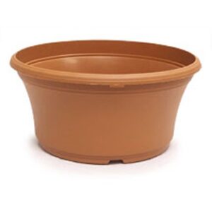 10.00 Panterra bowl