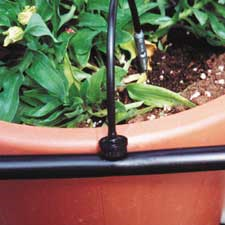 Pressure Compensated Drip System