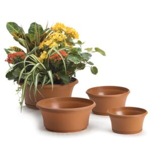 10.00 Panterra Bowl