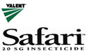 Safari