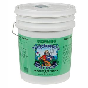 Neptune's Harvest Seaweed