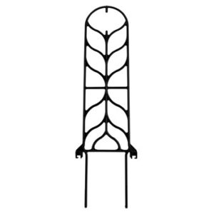 1 Gallon Trellis