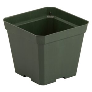 4.5" Square Traditional Thinwall Perennial Pot