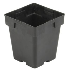 5.5" Jumbo Square Thinwall Perennial Pot