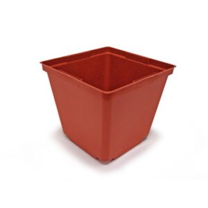 4" Square Thinwall Perennial Pot