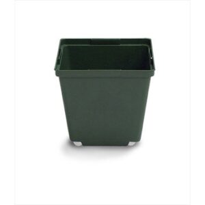 4.5" Square Thinwall Perennial Pot