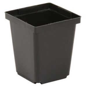 3.5" Square Deep Perennial Pot