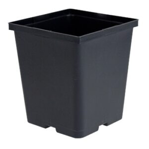 5.5" Square Deep Perennial Pot