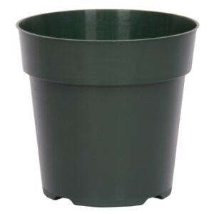 6" Standard Thinwall Injection Molded Pot