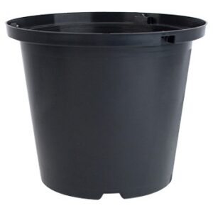 10" Standard Thinwall Stock Pot