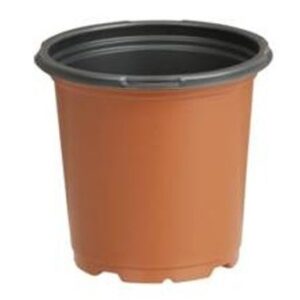 4.25" Round Geranium Coex Tall Pot