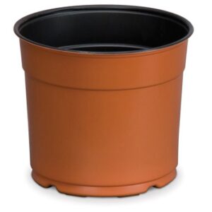 5.5" Azalea Co-Ex Round Pot