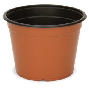 6" Azalea Co-Ex Round Pot