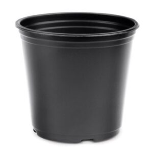 3.5" Round Coex Pot