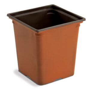 M6 Square Coex Pot