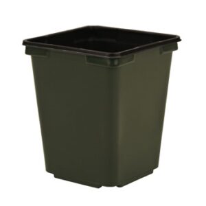 3.5" 1 Pint Square Coex Pot