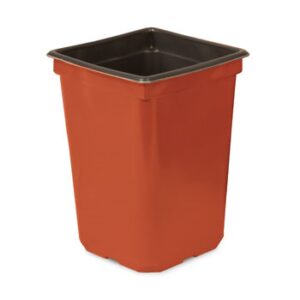 4" 1 Pint Square Coex Pot