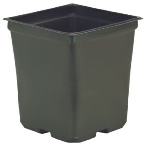 5.5" 2 Quart Square Coex Pot