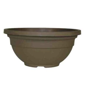 12" Silhouette Bowl