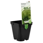 MQE 11 x 11 x 11 Injection Molded Square Pot